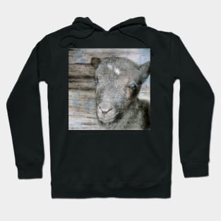 Lambkin | Cute lamb Hoodie